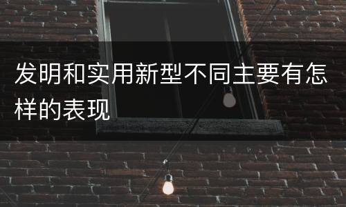 发明和实用新型不同主要有怎样的表现