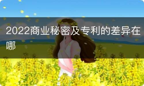 2022商业秘密及专利的差异在哪