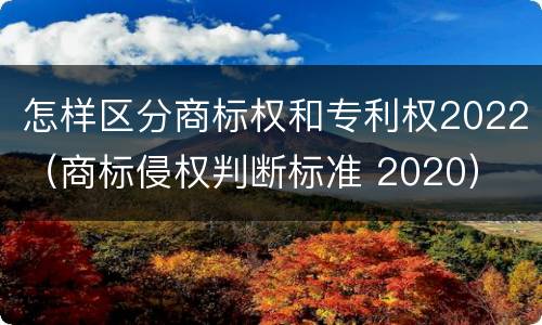 怎样区分商标权和专利权2022（商标侵权判断标准 2020）
