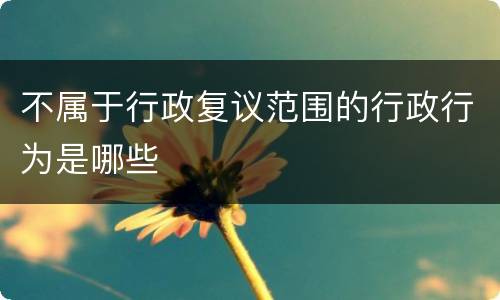 不属于行政复议范围的行政行为是哪些