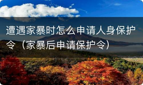 遭遇家暴时怎么申请人身保护令（家暴后申请保护令）