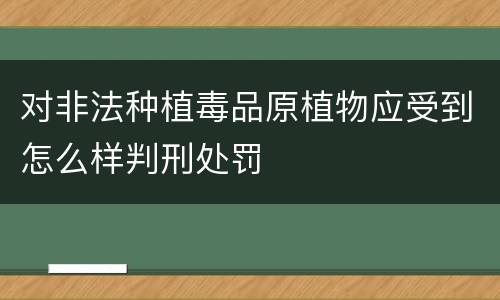 对非法种植毒品原植物应受到怎么样判刑处罚