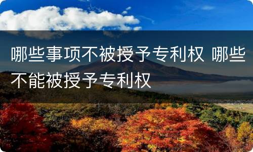 哪些事项不被授予专利权 哪些不能被授予专利权