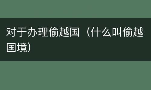 对于办理偷越国（什么叫偷越国境）