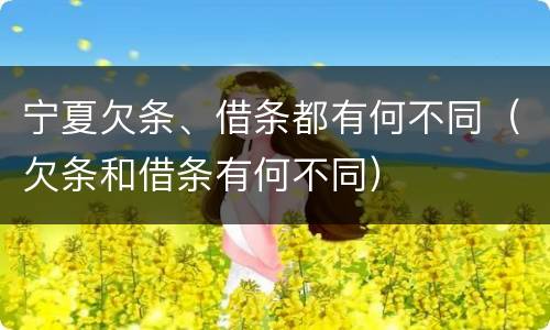宁夏欠条、借条都有何不同（欠条和借条有何不同）
