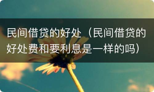 民间借贷的好处（民间借贷的好处费和要利息是一样的吗）