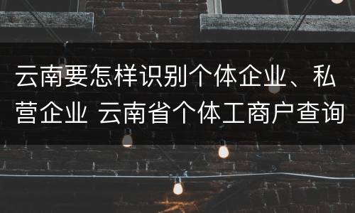 云南要怎样识别个体企业、私营企业 云南省个体工商户查询