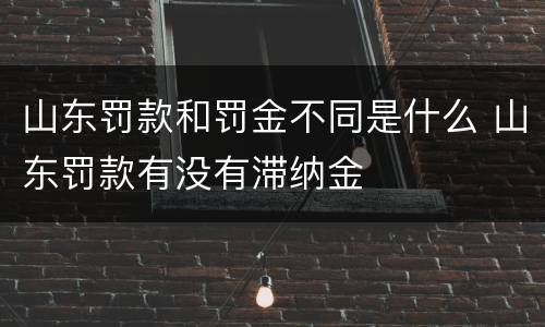 山东罚款和罚金不同是什么 山东罚款有没有滞纳金