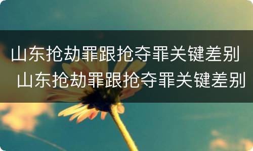 山东抢劫罪跟抢夺罪关键差别 山东抢劫罪跟抢夺罪关键差别大吗