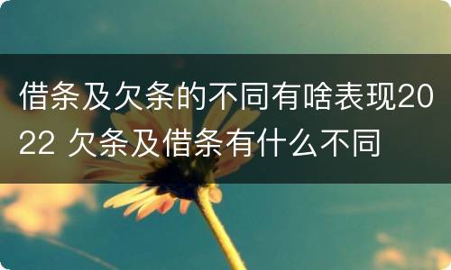 借条及欠条的不同有啥表现2022 欠条及借条有什么不同