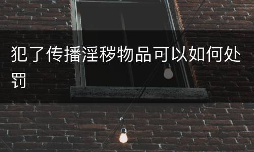 犯了传播淫秽物品可以如何处罚