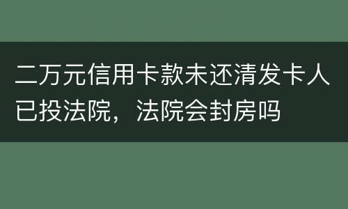 二万元信用卡款未还清发卡人已投法院，法院会封房吗