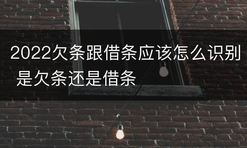 2022欠条跟借条应该怎么识别 是欠条还是借条