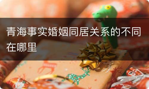 青海事实婚姻同居关系的不同在哪里