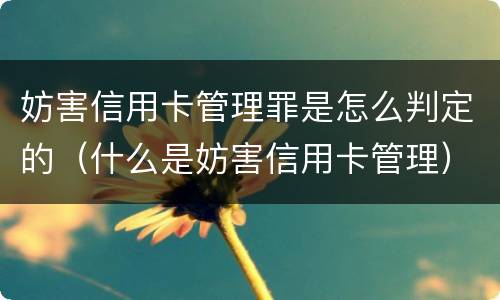 妨害信用卡管理罪是怎么判定的（什么是妨害信用卡管理）