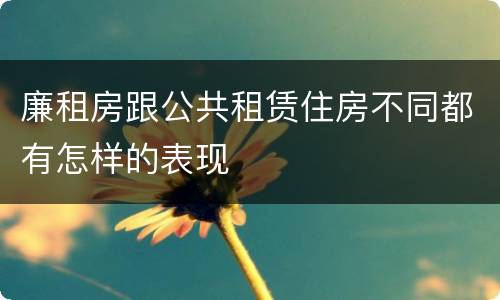 廉租房跟公共租赁住房不同都有怎样的表现