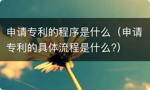 申请专利的程序是什么（申请专利的具体流程是什么?）