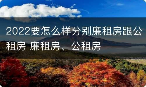 2022要怎么样分别廉租房跟公租房 廉租房、公租房