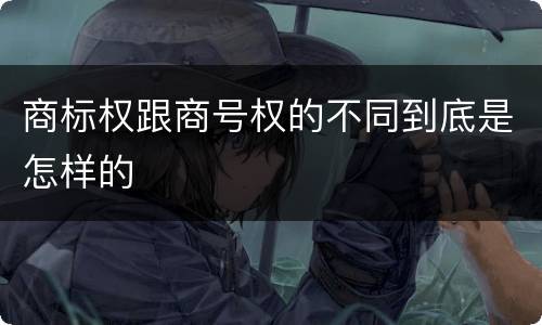 商标权跟商号权的不同到底是怎样的