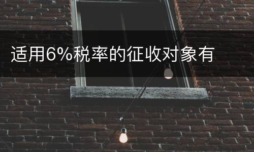 适用6%税率的征收对象有