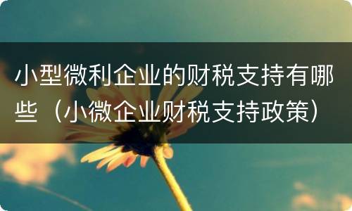 小型微利企业的财税支持有哪些（小微企业财税支持政策）