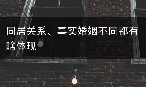 同居关系、事实婚姻不同都有啥体现