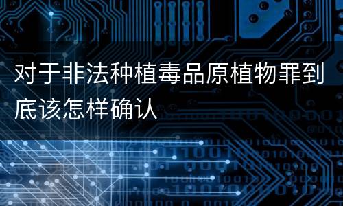 对于非法种植毒品原植物罪到底该怎样确认