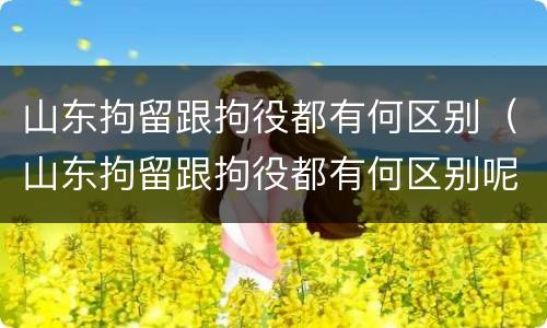 山东拘留跟拘役都有何区别（山东拘留跟拘役都有何区别呢）
