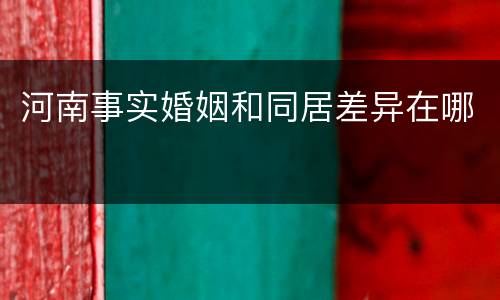河南事实婚姻和同居差异在哪