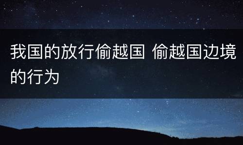 我国的放行偷越国 偷越国边境的行为