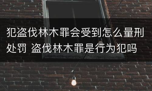 犯盗伐林木罪会受到怎么量刑处罚 盗伐林木罪是行为犯吗