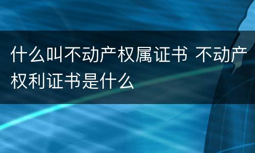 什么叫不动产权属证书 不动产权利证书是什么
