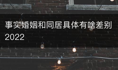 事实婚姻和同居具体有啥差别2022