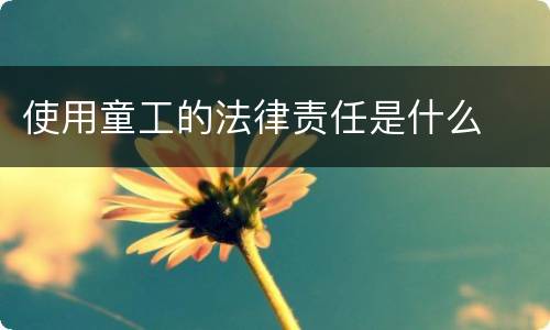 使用童工的法律责任是什么