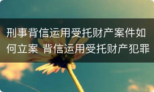 刑事背信运用受托财产案件如何立案 背信运用受托财产犯罪主体