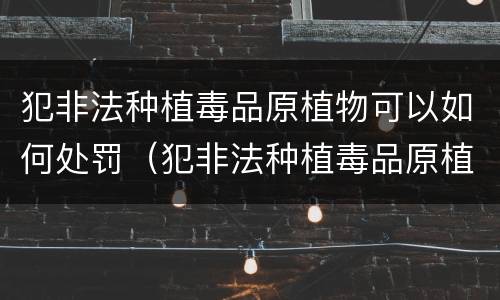 犯非法种植毒品原植物可以如何处罚（犯非法种植毒品原植物可以如何处罚呢）