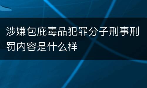 涉嫌包庇毒品犯罪分子刑事刑罚内容是什么样