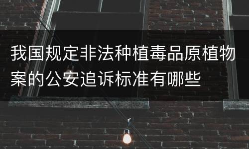 我国规定非法种植毒品原植物案的公安追诉标准有哪些