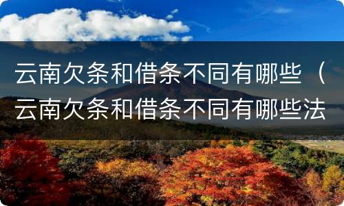 云南欠条和借条不同有哪些（云南欠条和借条不同有哪些法律规定）
