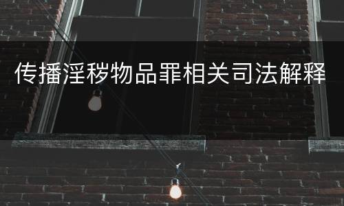 传播淫秽物品罪相关司法解释