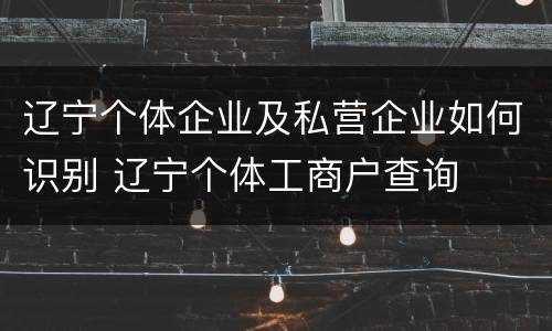 辽宁个体企业及私营企业如何识别 辽宁个体工商户查询