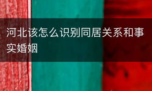 河北该怎么识别同居关系和事实婚姻