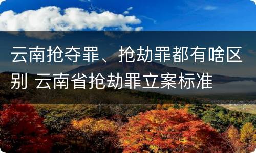 云南抢夺罪、抢劫罪都有啥区别 云南省抢劫罪立案标准