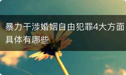 暴力干涉婚姻自由犯罪4大方面具体有哪些