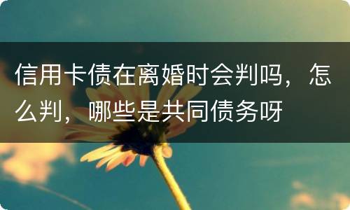 信用卡债在离婚时会判吗，怎么判，哪些是共同债务呀