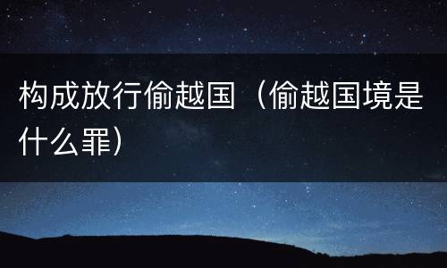 构成放行偷越国（偷越国境是什么罪）