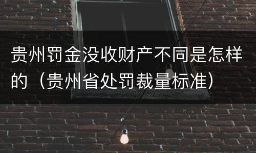 贵州罚金没收财产不同是怎样的（贵州省处罚裁量标准）