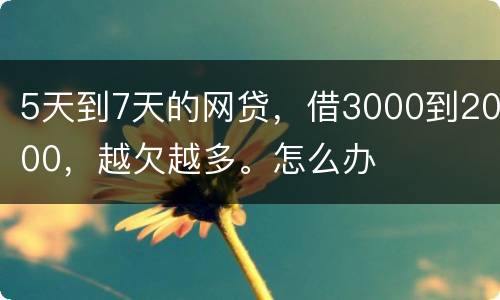 5天到7天的网贷，借3000到2000，越欠越多。怎么办