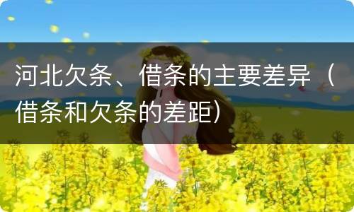 河北欠条、借条的主要差异（借条和欠条的差距）