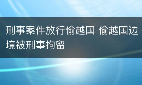 刑事案件放行偷越国 偷越国边境被刑事拘留